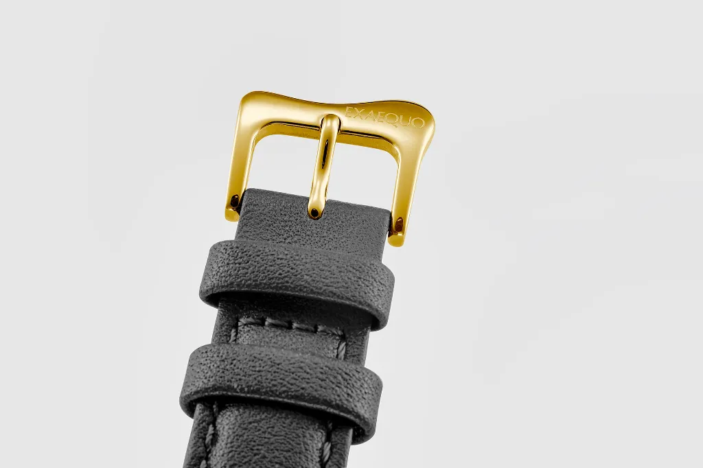 [DEM0001.0101ST-EX0002BCK] Exaequo Minuscule STRAP (black, Flat  finish, gold included with the strap)
