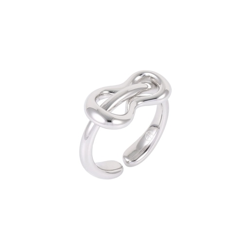 Ring Intemporelle 925 Silver
